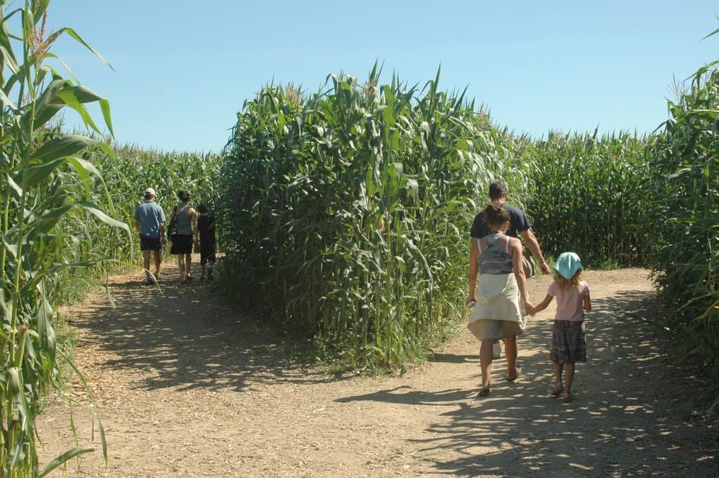 Labyrinthe géant de Durbuy