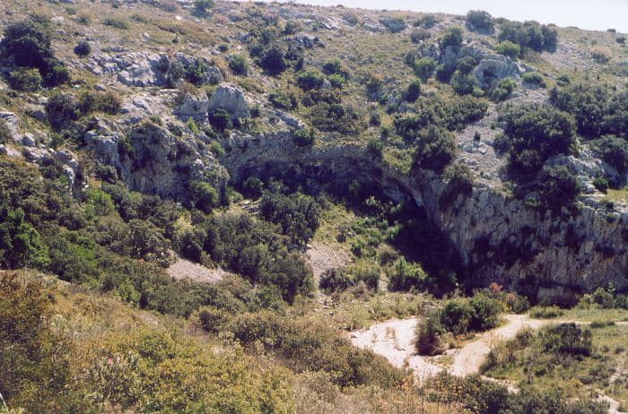Garrigue de Nîmes – Plateau des Garrigues