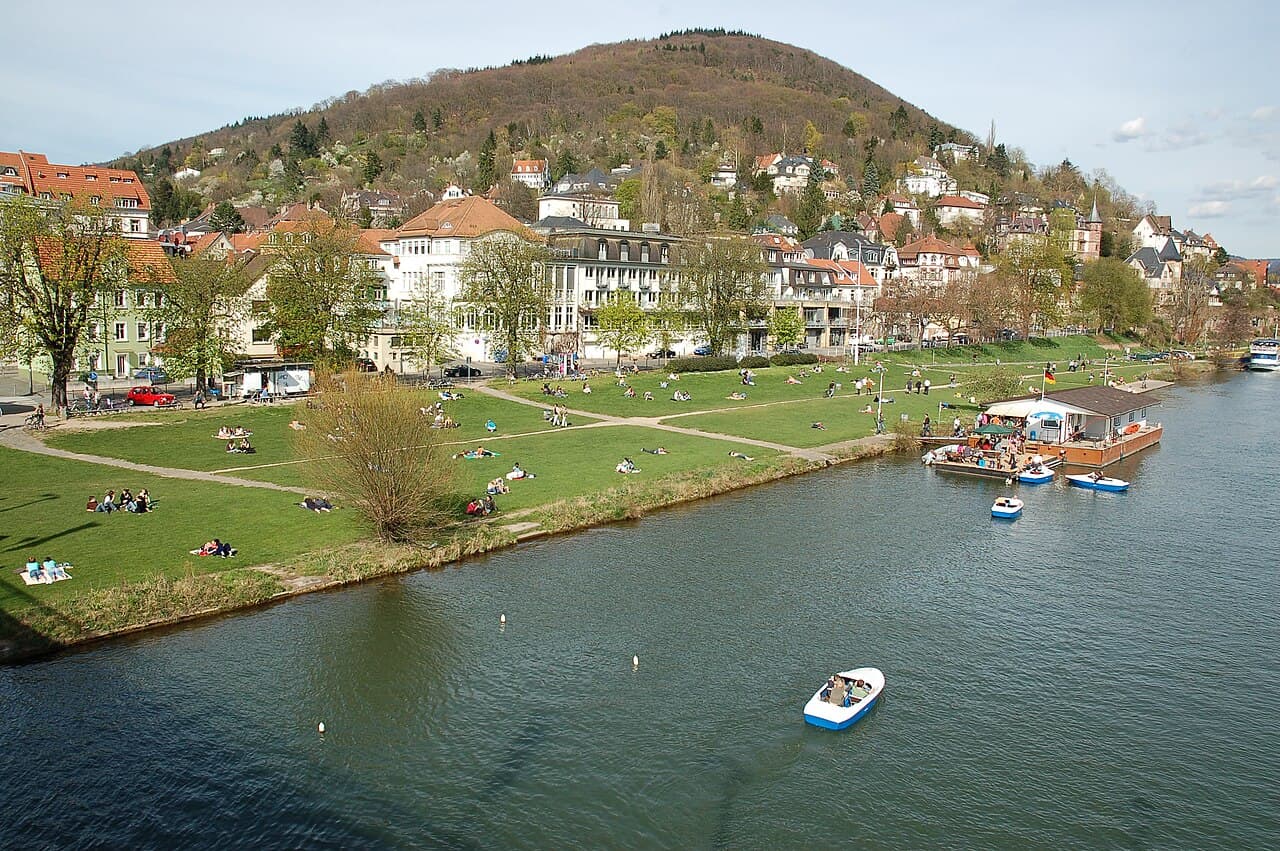 Neckarwiesen