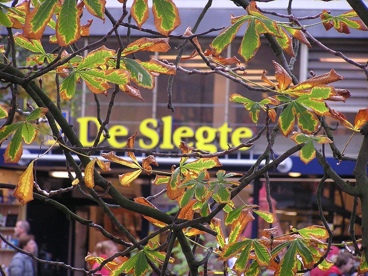 Boekhandel Dominicanen